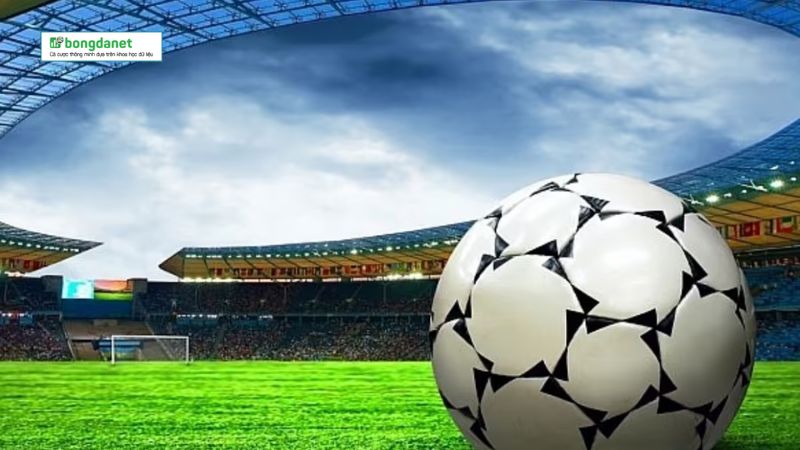 Hệ thống trang cam kết hoạt động uy tín