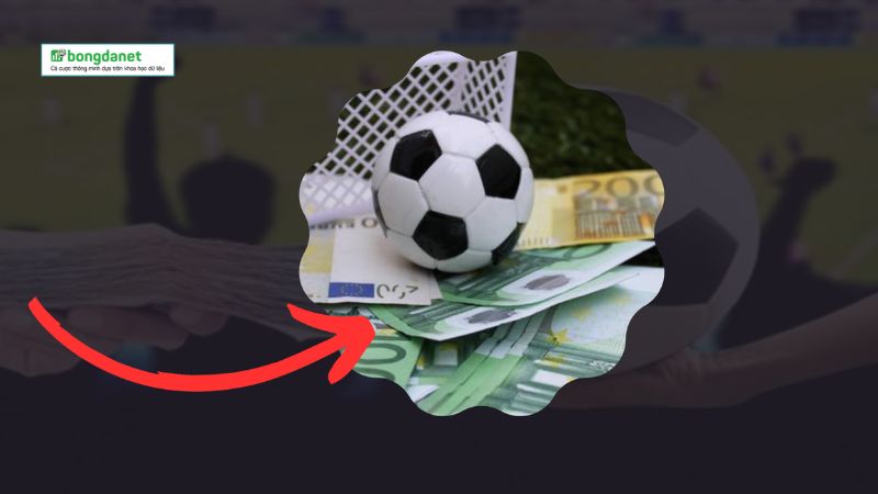 Trang hỗ trợ soi kèo bóng đá