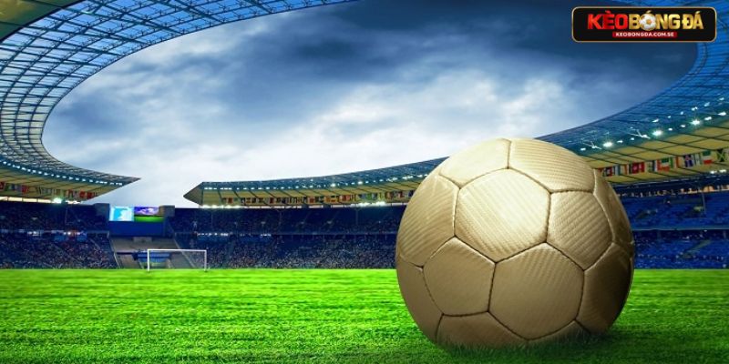 Bỏ túi những dấu hiệu chuẩn nhận biết kèo thơm