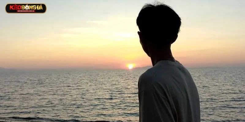 CEO David Lee là ai?