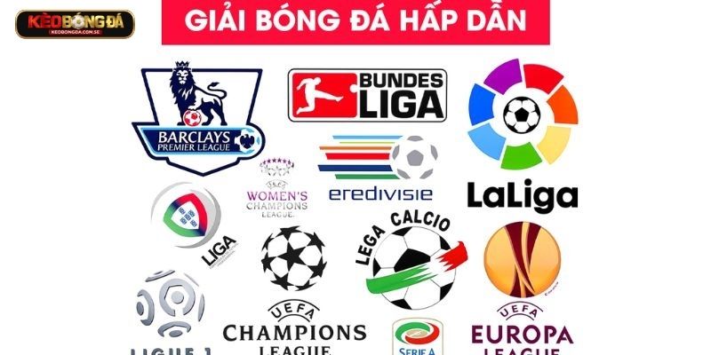 Chúng tôi bao phủ nhiều giải đấu khác nhau Chúng tôi bao phủ nhiều giải đấu khác nhau