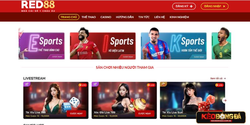 Kho trò chơi nổi bật tại RED88 Kho trò chơi nổi bật tại RED88