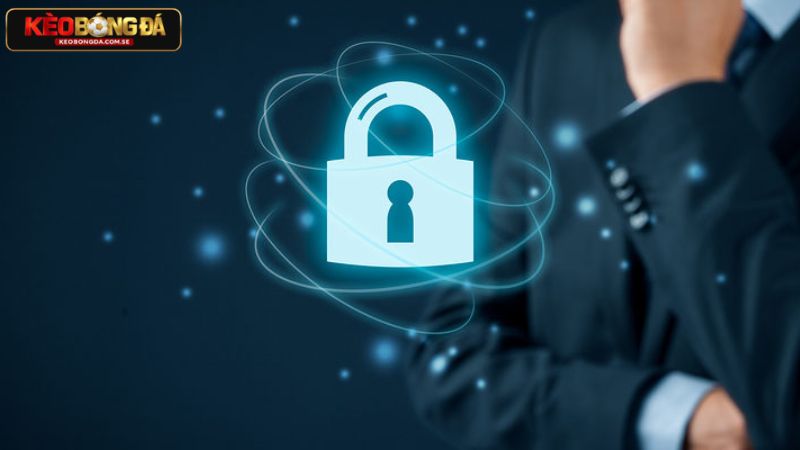 Những thông tin mà nhà cái cần thu thập từ người chơi trong chính sách Những thông tin mà nhà cái cần thu thập từ người chơi trong chính sách