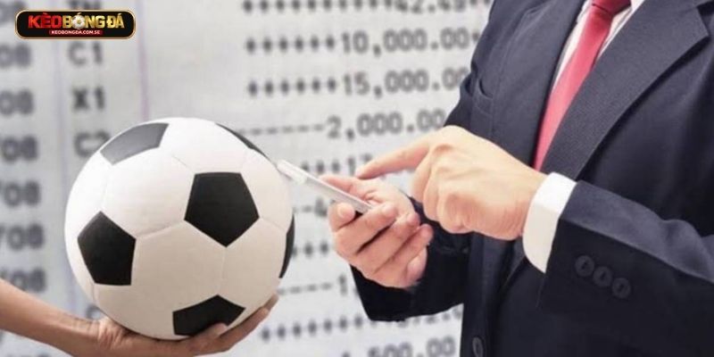 Vai trò của anh vô cùng quan trọng trong quá trình phát triển hệ thống