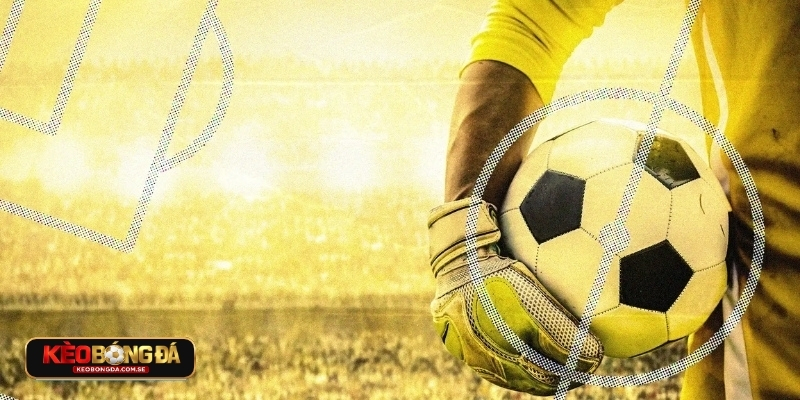 BXH FIFA có ảnh hưởng rất lớn đến mỗi đội tuyển BXH FIFA có ảnh hưởng rất lớn đến mỗi đội tuyển