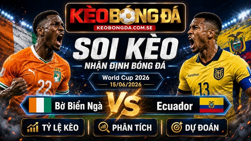 Đội hình dự kiến trước trận Bờ Biển Ngà và Ecuador Đội hình dự kiến trước trận Bờ Biển Ngà và Ecuador