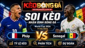Đội hình dự kiến trước trận Pháp và Senegal